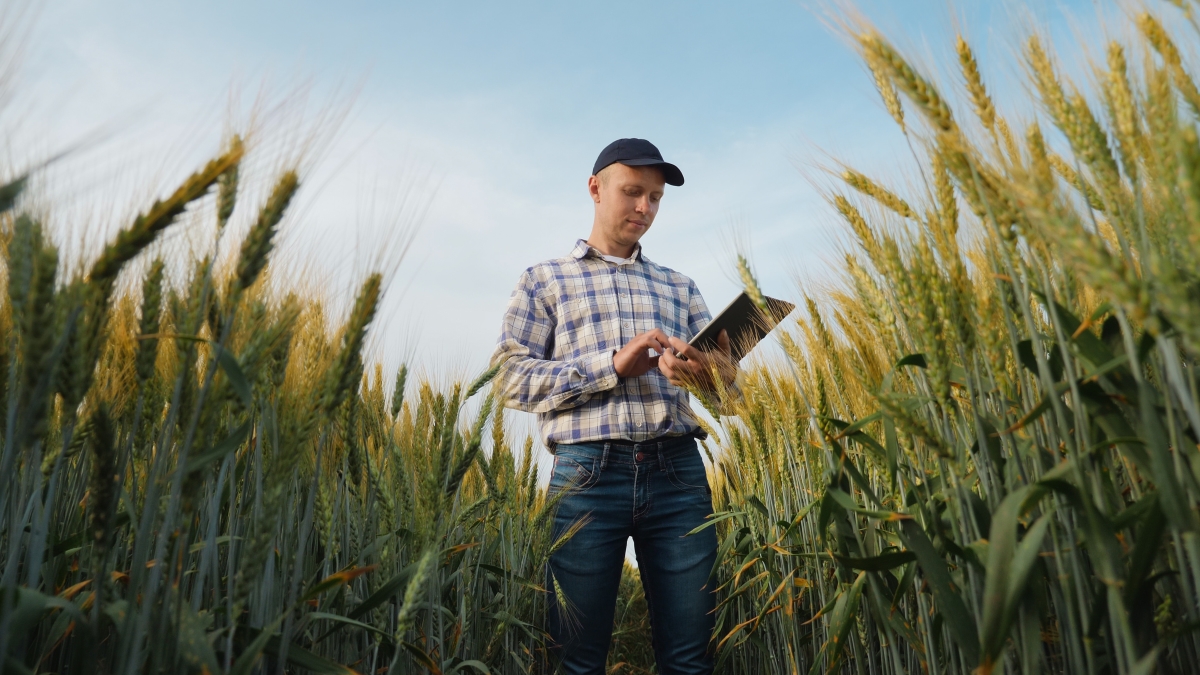 Landwirtschaft