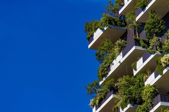 Green vegetation on a building to reduce its carbon footprint. Green vegetation on a building to reduce its carbon footprint.