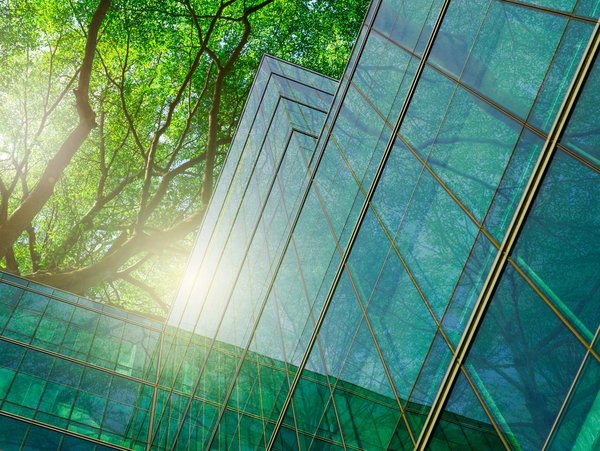 Moderne Glasgebäude mit Spiegelung von Bäumen im Sonnenlicht.