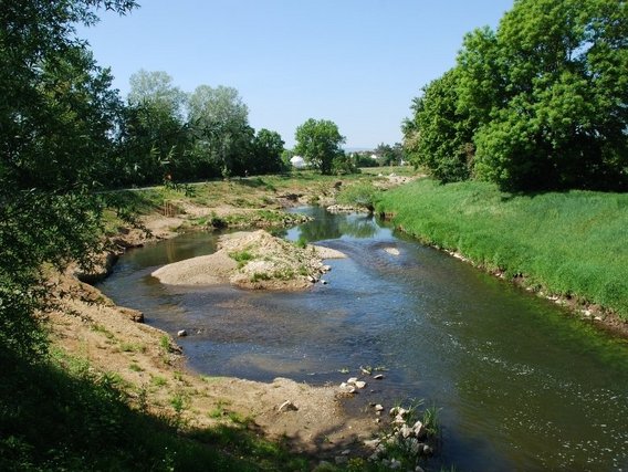 Ein kleiner Fluss mit niedrigem Wasserstand und Sandbänken fließt durch grüne Landschaft mit Bauarbeiten am Ufer.