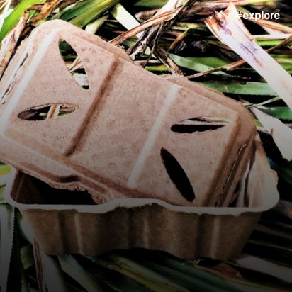 Eine biologisch abbaubare Verpackung aus natürlichen Fasern liegt zwischen grünen Gräsern auf dem Boden. Die beige-braune Schale mit Perforationen zeigt nachhaltiges Verpackungsmaterial in natürlicher Umgebung.