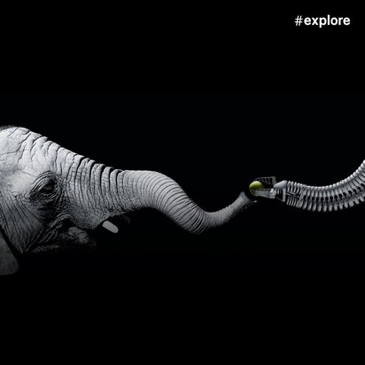 Ein kontrastreiches Schwarz-Weiß-Bild eines Elefantenkopfes mit Rüssel, der in eine mechanische Struktur übergeht. Die natürliche Haut wird zu einer metallischen, segmentierten Konstruktion mit einem grünen Objekt am Ende.