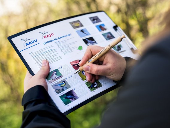 Person hält Clipboard mit NABU-Vogelzählung und macht Notizen mit Stift, während sie draußen in der Natur sitzt.