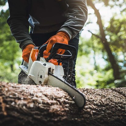 Person in Schutzkleidung schneidet einen Baumstamm mit einer Motorsäge.