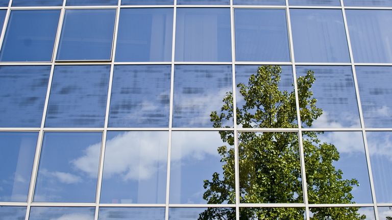 Klimaneutrales-Unternehmen TÜV NORD Klimaneutrales Unternehmen