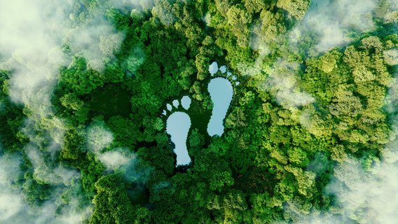 Luftaufnahme eines Waldes mit zwei fußabdruckförmigen Wasserflächen als Symbol für Nachhaltigkeit