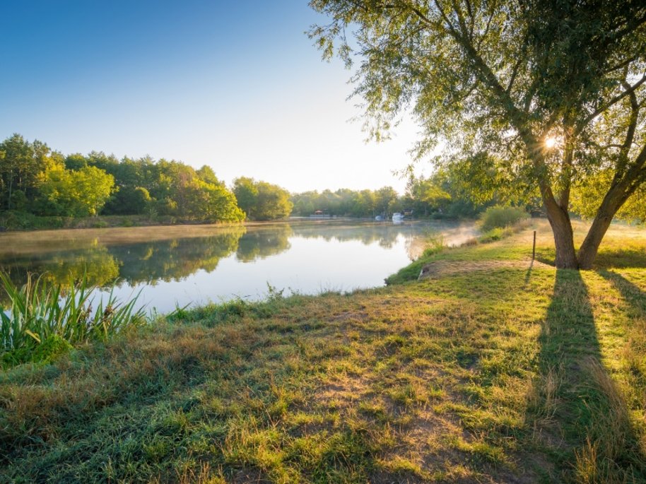 Idyllische Seenlandschaft bei goldenem Sonnenlicht mit spiegelglattem Wasser, grünen Bäumen am Ufer und einer großen Weide im Vordergrund.