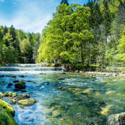 Fluss in einer grünen Waldlandschaft – Symbol für Umwelt- und Gewässerschutz. Fluss in einer grünen Waldlandschaft – Symbol für Umwelt- und Gewässerschutz