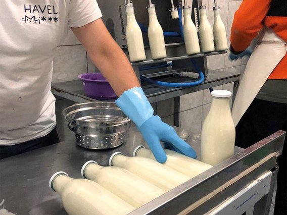 Arbeiter in weißer Kleidung mit blauen Handschuhen befüllt Milchflaschen in einer Molkerei, im Hintergrund hängen weitere Glasflaschen an einer Abfüllanlage.