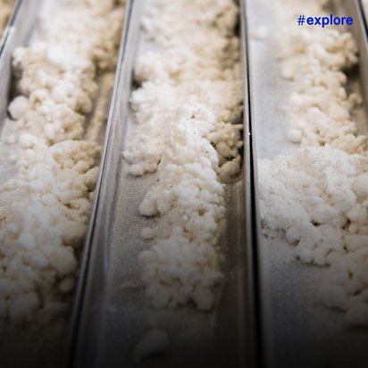 Mehrere parallele Metallrinnen sind mit weißem, pulvrigem Material gefüllt, vermutlich Teststaub oder andere Prüfsubstanzen. Die symmetrische Anordnung deutet auf einen kontrollierten Laborversuchsaufbau hin.