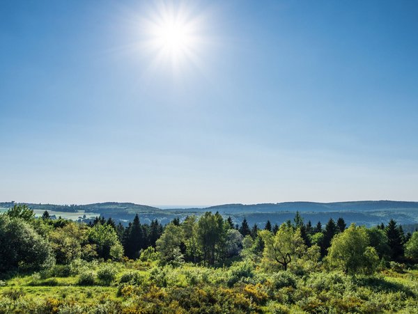 Panoramablick auf eine grüne Landschaft in Bissendorf bei Sonnenschein