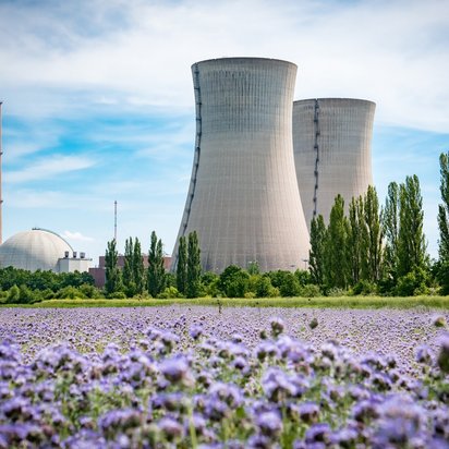 Kernkraftwerk mit Natur im Vordergrund Atomkraftwerk hinter lila Blütenfeld mit türmen und Reaktorgebäude