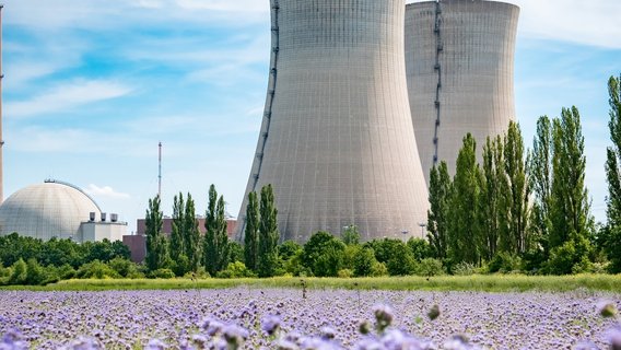 Atomkraftwerk hinter lila Blütenfeld mit türmen und Reaktorgebäude