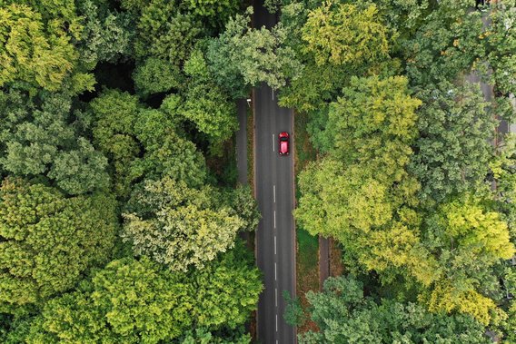 Luftaufnahme einer Straße durch einen dichten Wald mit einem roten Auto