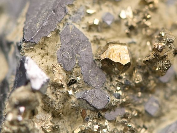 Nahaufnahme verschiedener Mineralkristalle mit goldenen, metallisch glänzenden Würfeln (wahrscheinlich Pyrit) und grauen, kantigen Kristallen auf hellem Gestein.