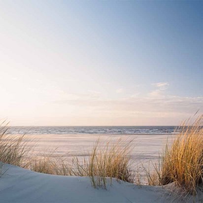 Entdecken Sie die Standorte des TÜV NORD Schulungszentrums – Lernen in inspirierender Umgebung Strandlandschaft mit Dünen und Meer – Symbolbild für die Standorte des TÜV NORD Schulungszentrums
