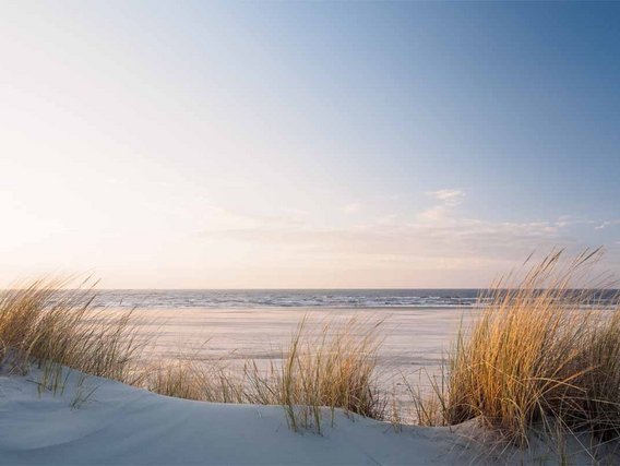 Entdecken Sie die Standorte des TÜV NORD Schulungszentrums – Lernen in inspirierender Umgebung Strandlandschaft mit Dünen und Meer – Symbolbild für die Standorte des TÜV NORD Schulungszentrums