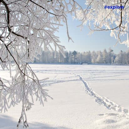 Eine Nahaufnahme einer winterlichen Landschaft mit Schnee und einem nahe stehenden Baum, dessen Äste mit Schnee bedeckt sind.