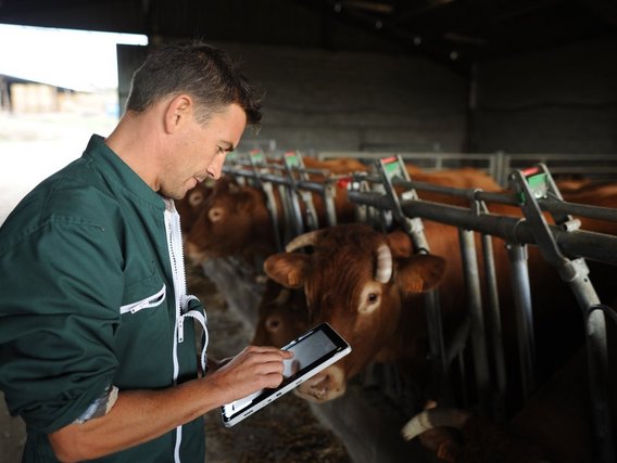 Landwirtschaft
