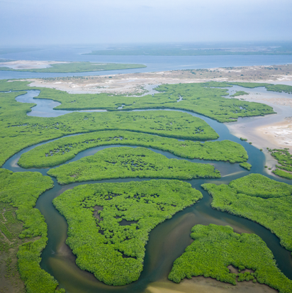 Seenlandschaft, Nachhaltigkeit bei TÜV NORD