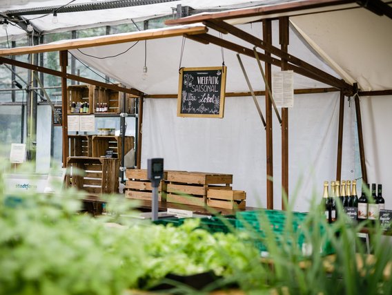 Ein Markt- oder Verkaufsbereich in einem Gewächshaus mit Holzausstellungsstrukturen, einer Tafel mit "VIELFÄLTIG SAISONAL" und Produkten zum Verkauf.
