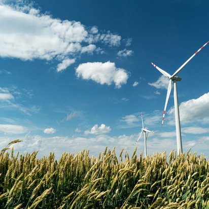 Das Bild zeigt ein weitläufiges Weizenfeld mit Windturbinen im Hintergrund, die erneuerbare Energie erzeugen