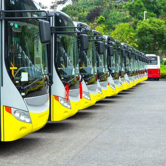 Several buses in a row