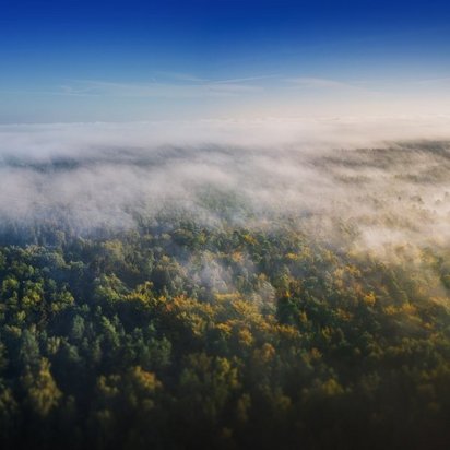 Eine neblige Waldlandschaft von oben, mit herbstlichen Bäumen und Funkmasten, die durch den Morgennebel ragen.