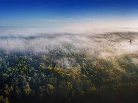 Eine neblige Waldlandschaft von oben, mit herbstlichen Bäumen und Funkmasten, die durch den Morgennebel ragen.