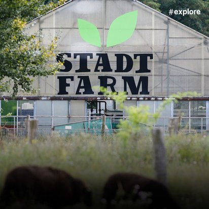 Außenansicht eines großen Gewächshauses mit "STADT FARM" Beschriftung, mit einigen Tieren im Vordergrund auf der Weide.
