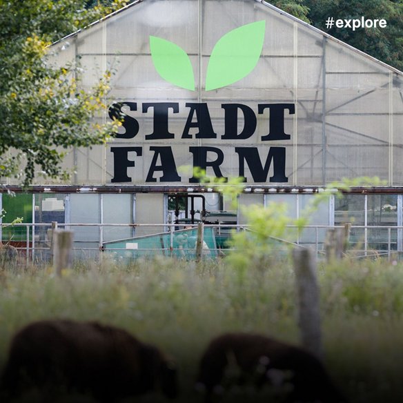 Außenansicht eines großen Gewächshauses mit "STADT FARM" Beschriftung, mit einigen Tieren im Vordergrund auf der Weide.