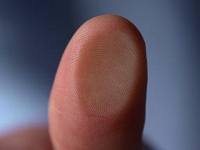 Nahaufnahme einer Fingerkuppe mit deutlich sichtbaren Fingerabdrucklinien vor einem blauen Hintergrund.