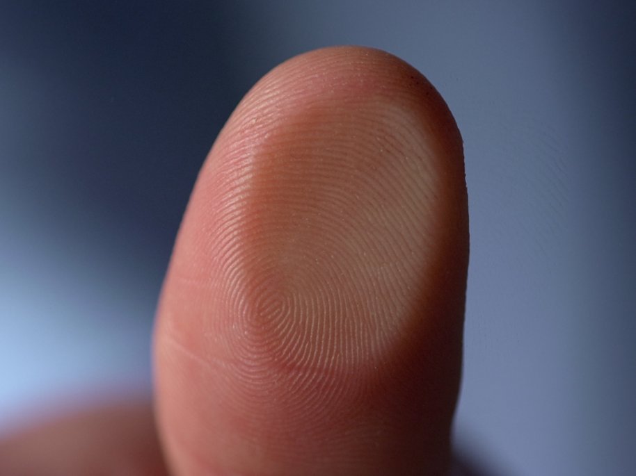 Nahaufnahme einer Fingerkuppe mit deutlich sichtbaren Fingerabdrucklinien vor einem blauen Hintergrund.