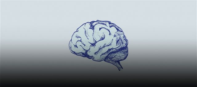 Hirnforschung: Neurobiologe Henning Beck beschäftigt sich mit dem Gehirn