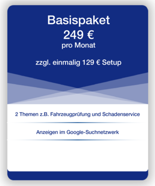 Basispaket Google AdWords Google AdWords Basis-Paket