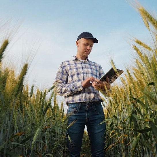Landwirtschaft