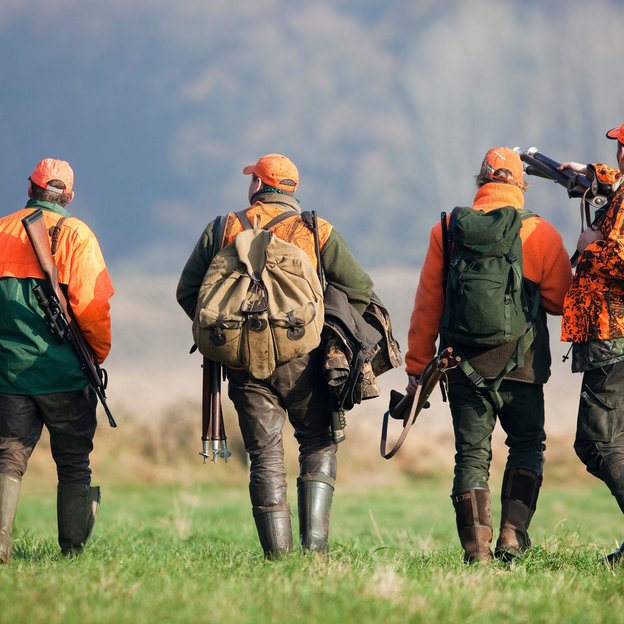 Vier Jäger in orange-grüner Kleidung mit Gewehren gehen über eine Wiese
