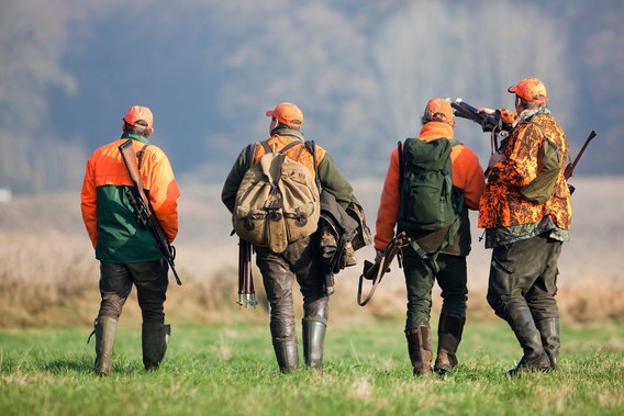 Vier Jäger in orange-grüner Kleidung mit Gewehren gehen über eine Wiese