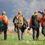 Vier Jäger in orange-grüner Kleidung mit Gewehren gehen über eine Wiese