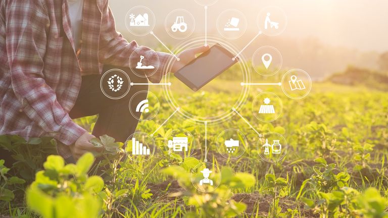 Agriculture technology farmer man using tablet computer analysis data and visual icon.
