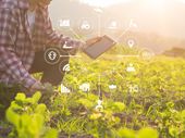 Agriculture technology farmer man using tablet computer analysis data and visual icon.