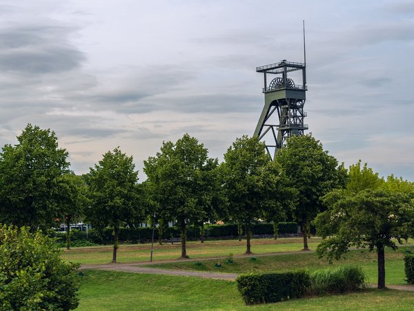 Förderturm in Oberhausen hinter einer Baumreihe in einer grünen Parklandschaft