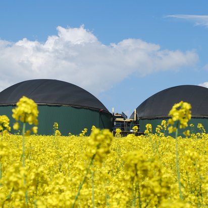 Two biogas plants stand next to a rapeseed field.