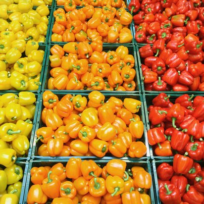 Symbolbild BRCGS Food Stiegen mit gelber, orangener und roter Paprika