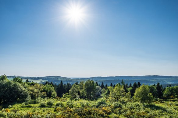 Panoramablick auf eine grüne Landschaft in Bissendorf bei Sonnenschein