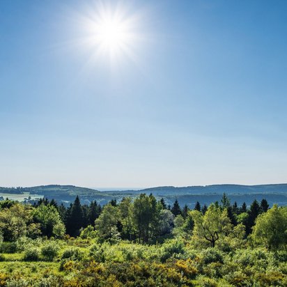 Panoramablick auf eine grüne Landschaft in Bissendorf bei Sonnenschein