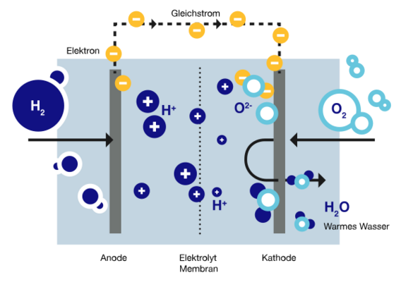 Wie ist eine Brennstoffzelle aufgebaut und wie funktioniert sie? Was passiert in ihr mit dem Wasserstoff? Das wird in dieser Infografik anschaulich gezeigt.