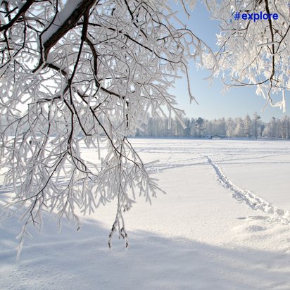 Eine malerische Winterlandschaft mit schneebedeckten Feldern und vereisten Ästen im Vordergrund. Die Sonne scheint hell am klaren blauen Himmel, und im Hintergrund sind Bäume zu sehen.