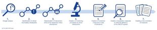 HACCP certification procedure