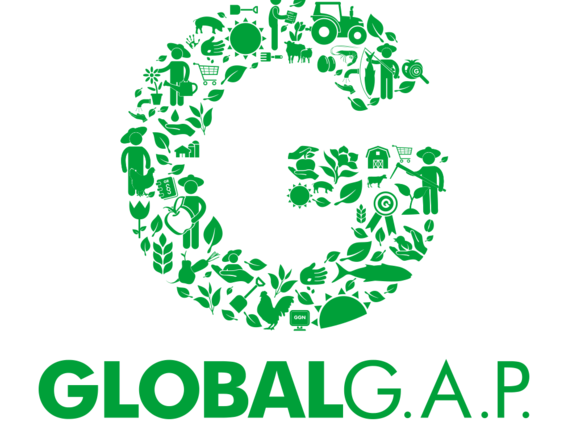 Green Testmark issued from Global Gap with illustrated plants in a G and the name global gap below